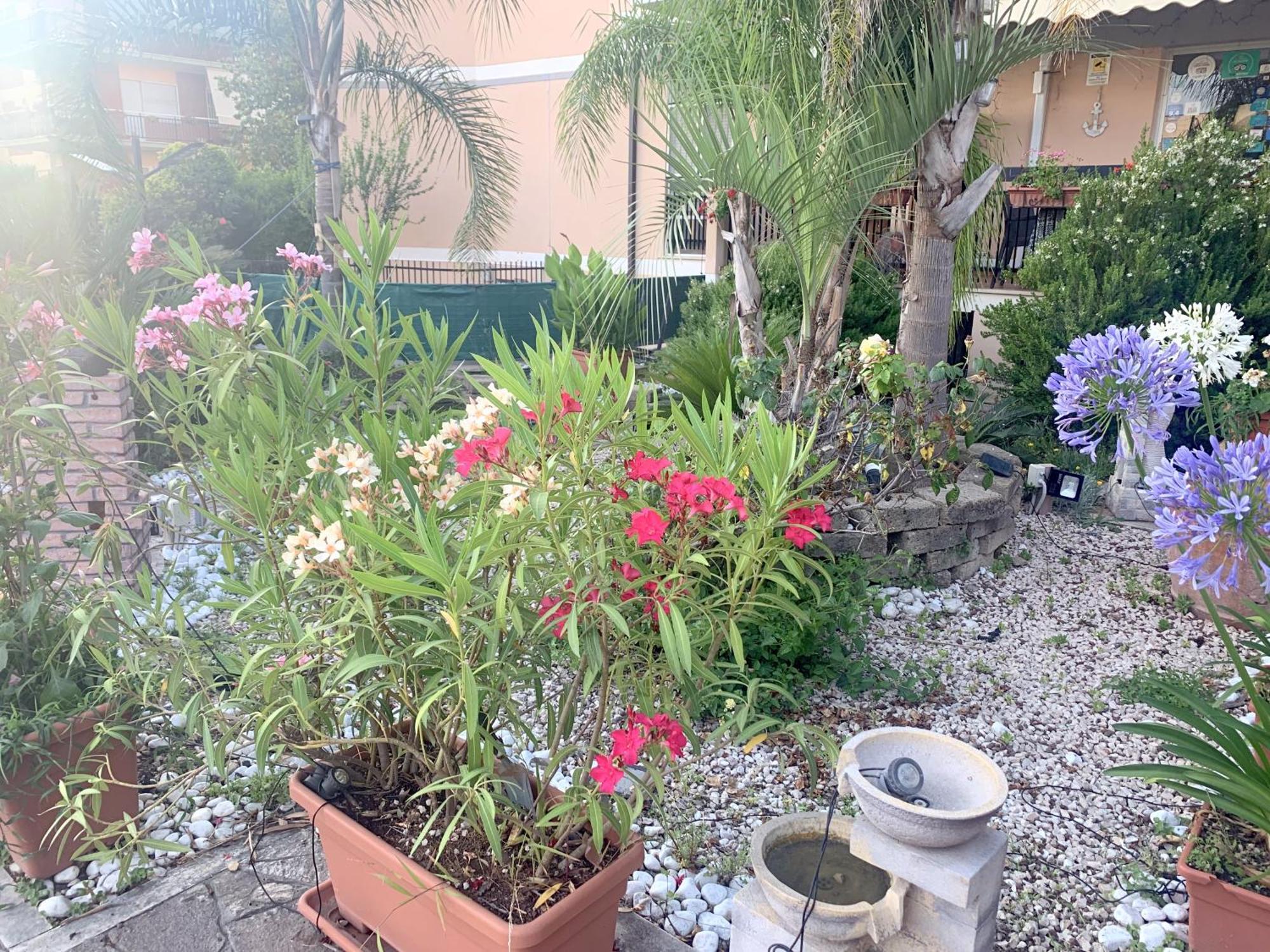 Il Giardino Di Adriana Bed & Breakfast Terracina Exterior photo