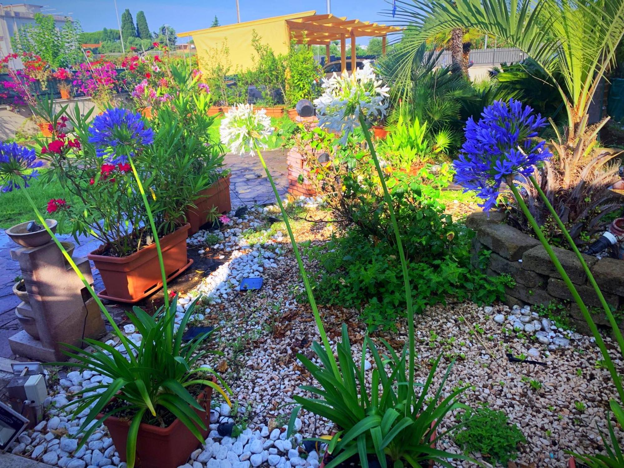 Il Giardino Di Adriana Bed & Breakfast Terracina Exterior photo
